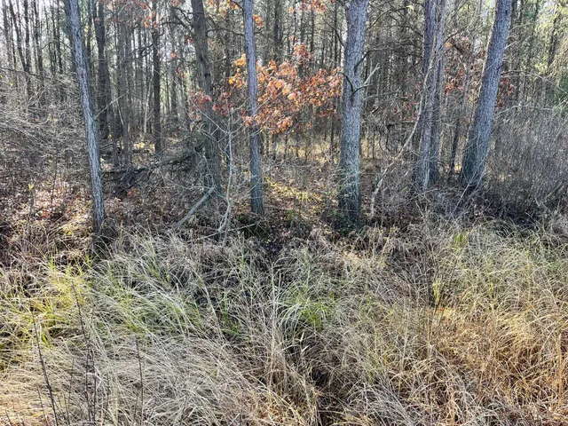 $189,900 | 1035A Beaver Avenue, Nekoosa, WI 54457