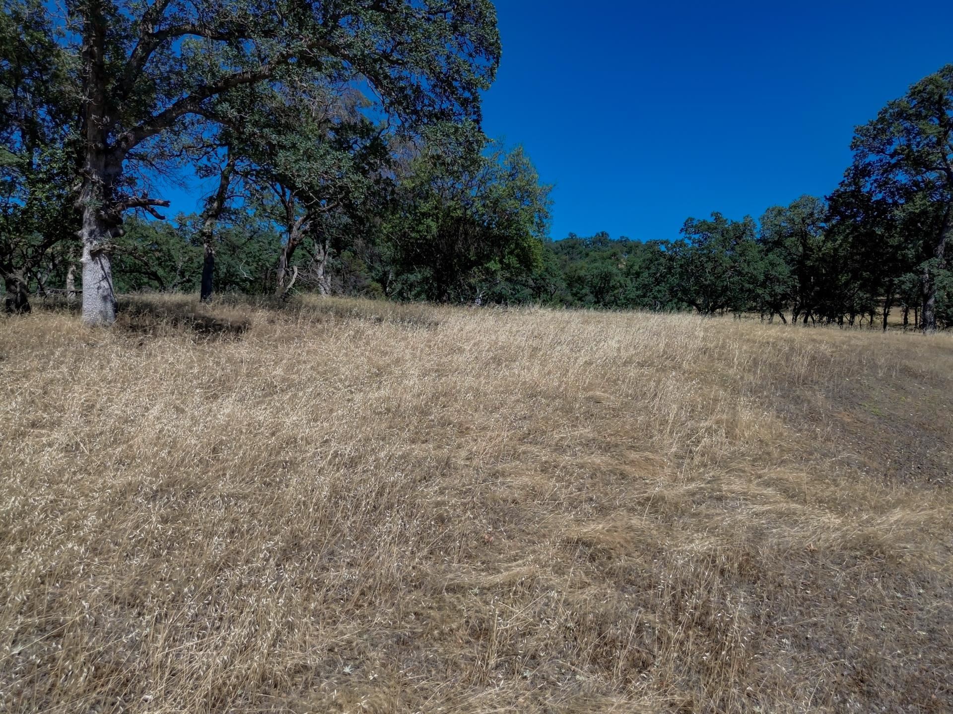Lot A Penneleme Road Red Bluff, CA 96080 - Photo 8 of 11