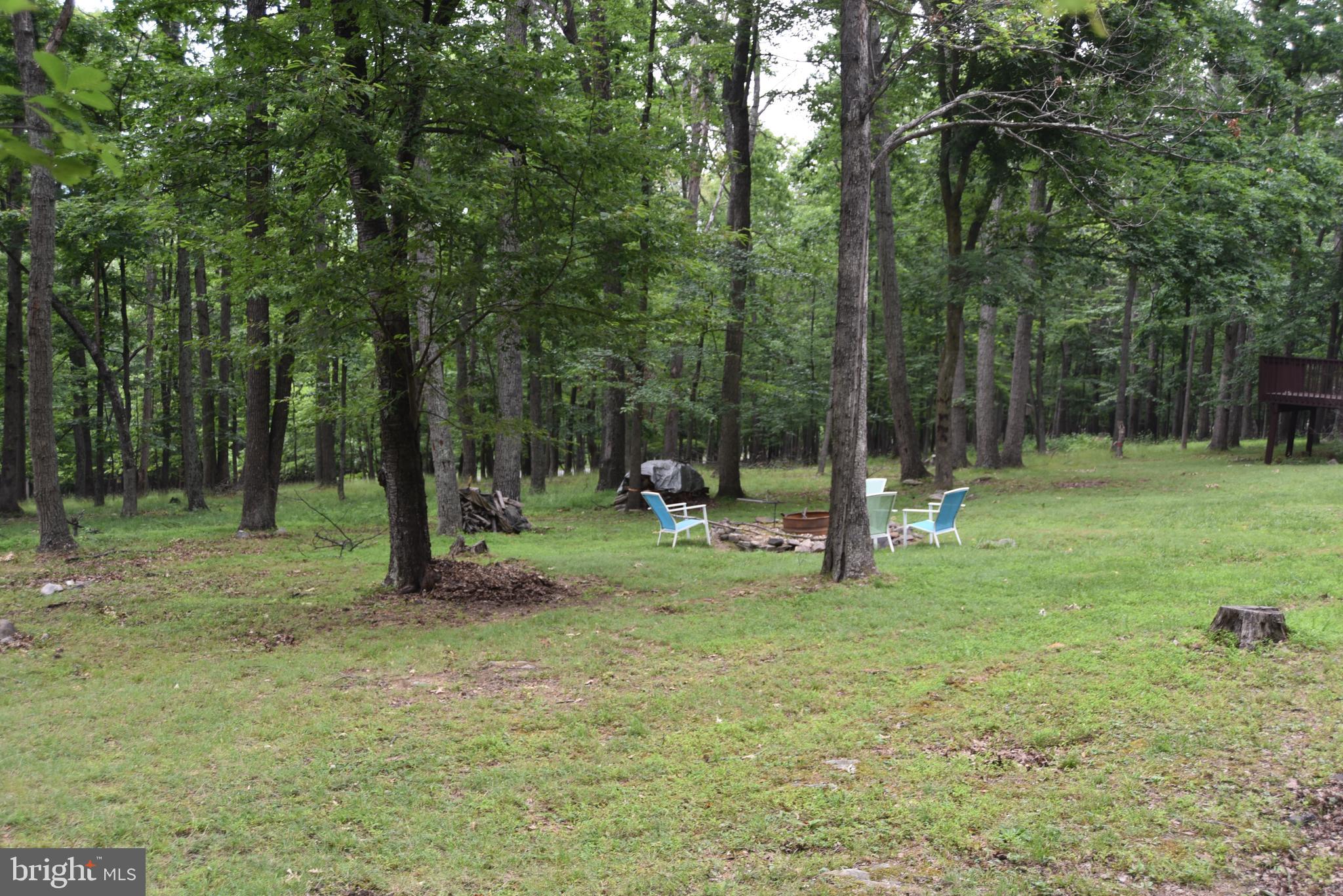 586 Cardinal View Road Paw Paw, WV 25434 - Photo 10 of 25 Fire pitto make smores