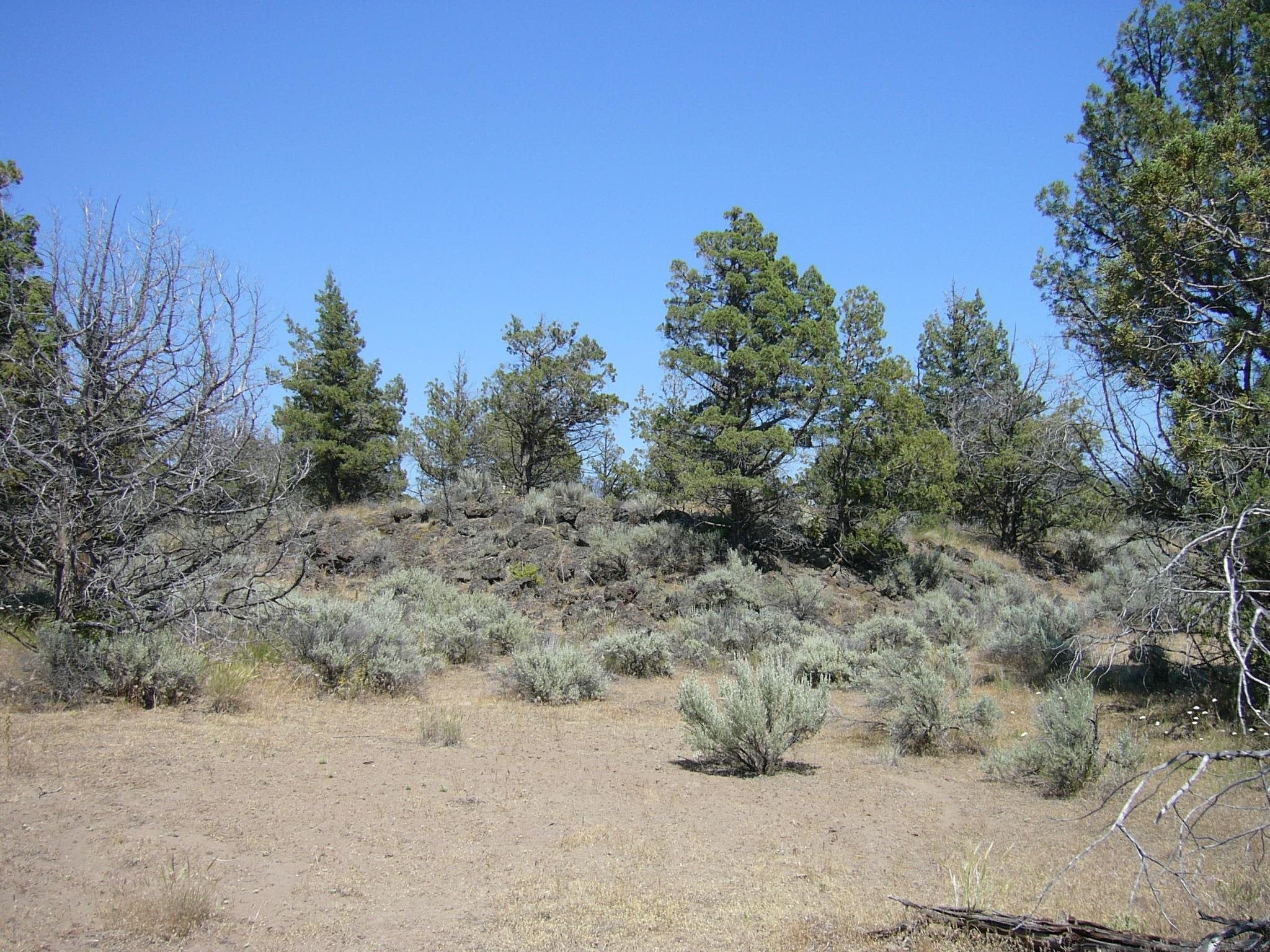 10.1 Yuba Meba Rancho Road Montague, CA 96064 - Photo 8 of 23 Gallery Image 8