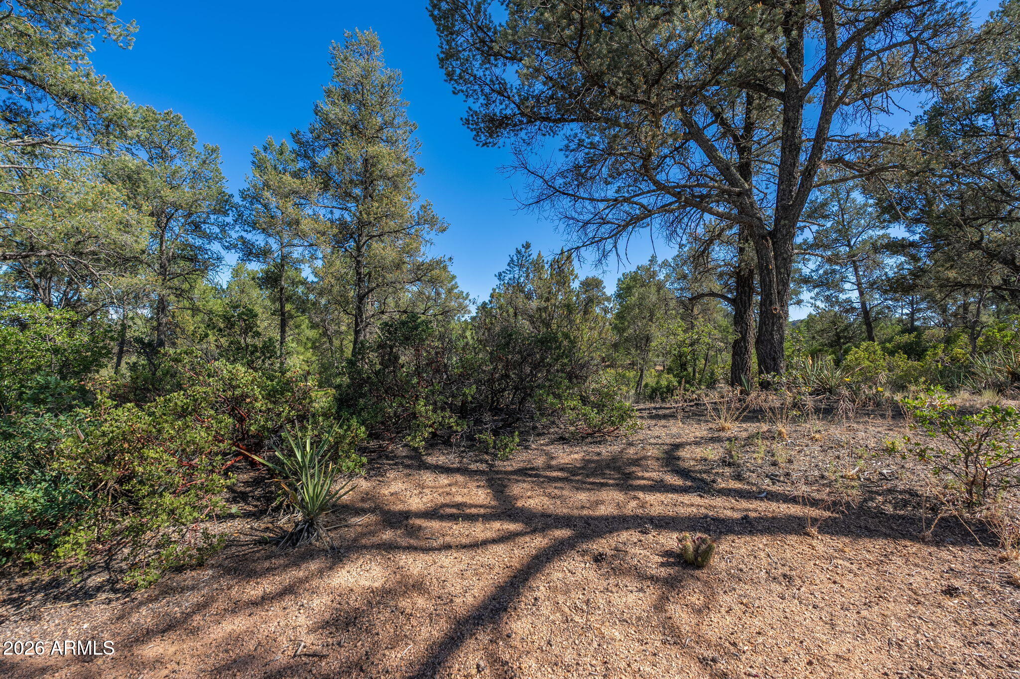 506 South Primeval, Unit 79 Payson, AZ 85541 - Photo 36 of 48 506 S Primeval - 34