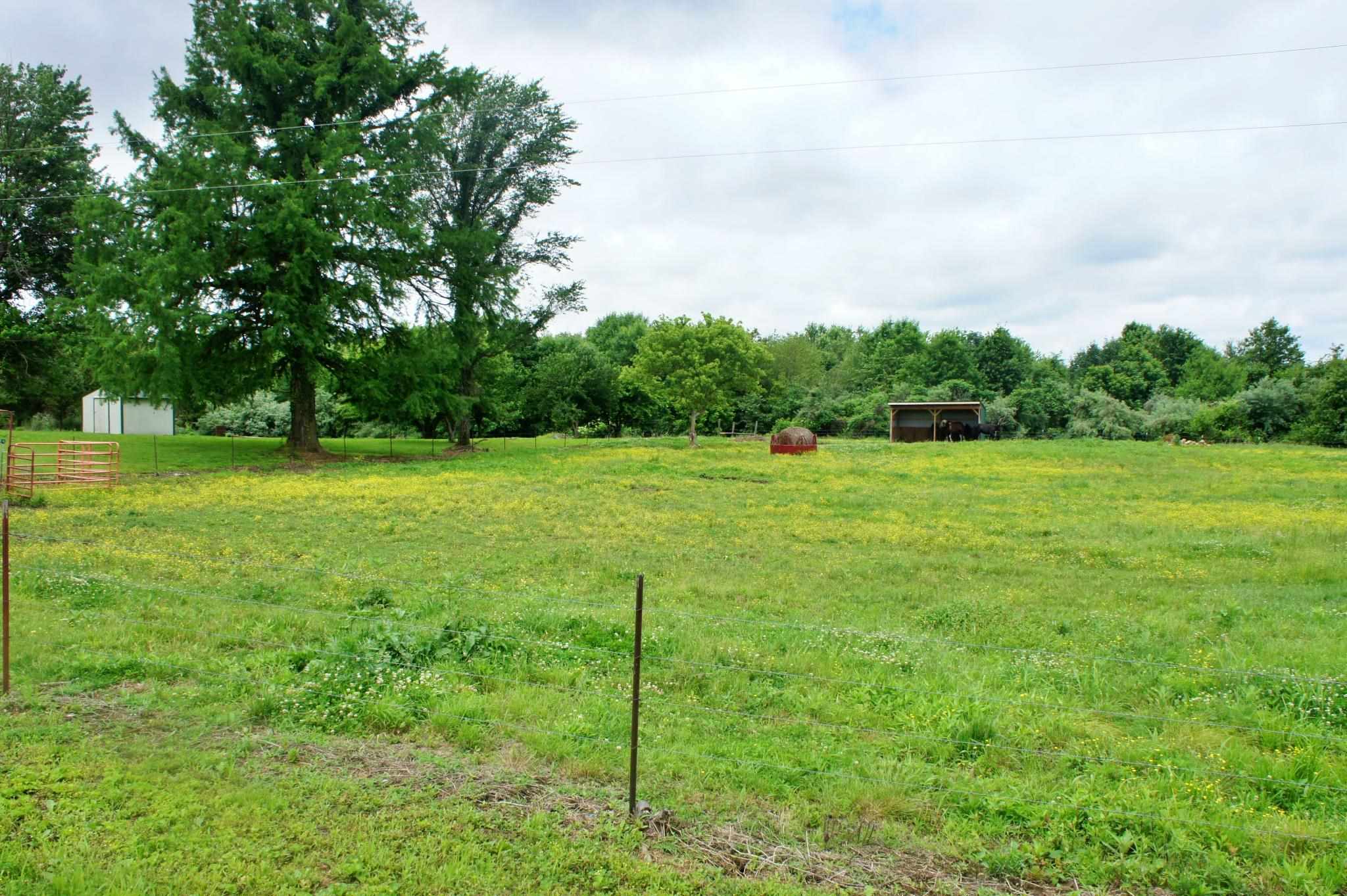 4475 Orchard Road Metropolis, IL 62960 - Photo 10 of 20 Gallery Image 10