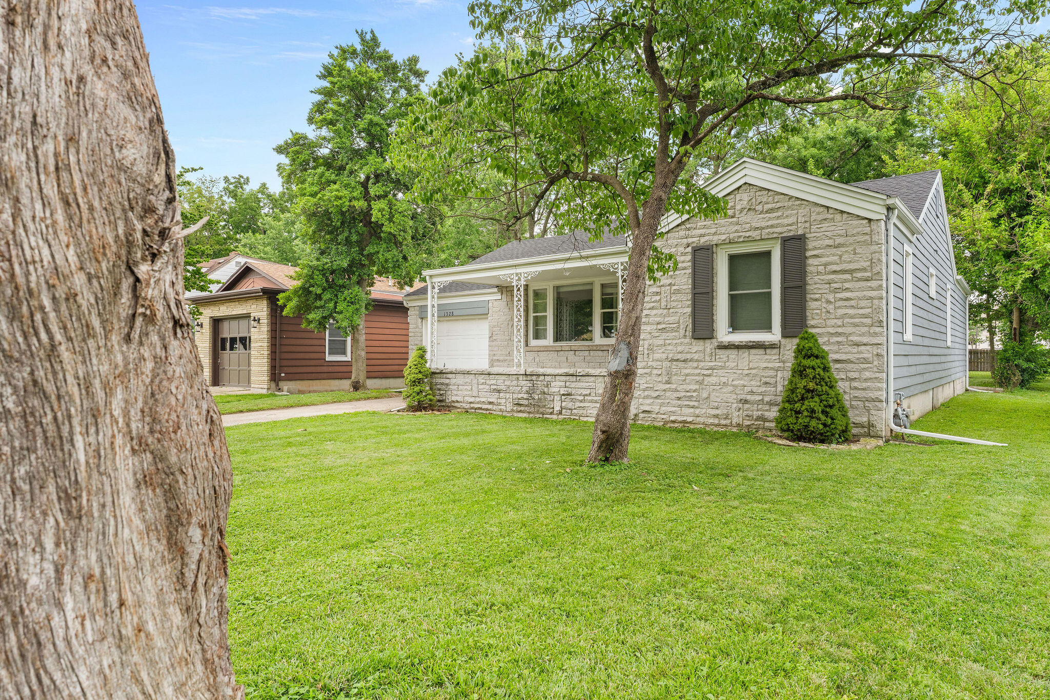 1328 East University Street Springfield, MO 65804 - Photo 3 of 23 FrameandFocus_WEBorMLS-3-2