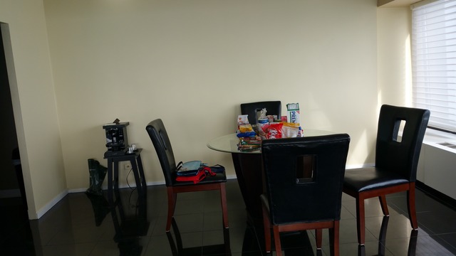 175 East Delaware Place, Unit 8008 Chicago, IL 60611 - Photo 3 of 6