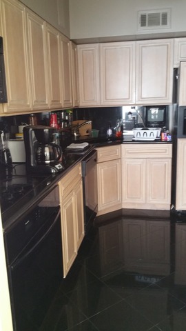 175 East Delaware Place, Unit 8008 Chicago, IL 60611 - Photo 4 of 6