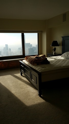 175 East Delaware Place, Unit 8008 Chicago, IL 60611 - Photo 6 of 6