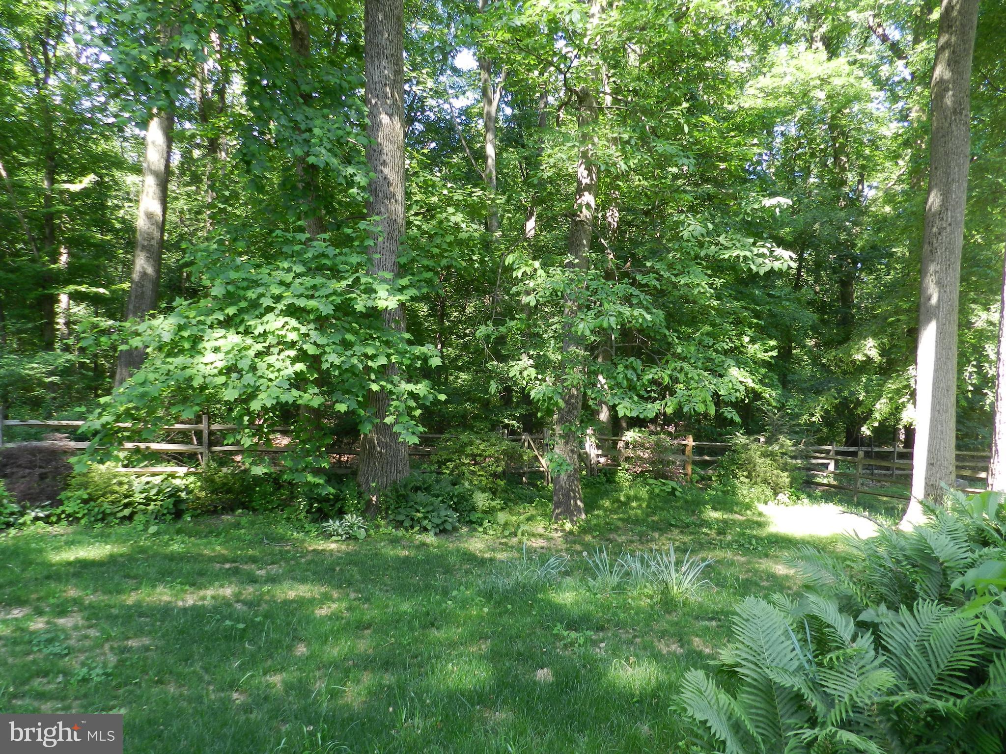 5 Holly Lane Malvern, PA 19355 - Photo 37 of 51