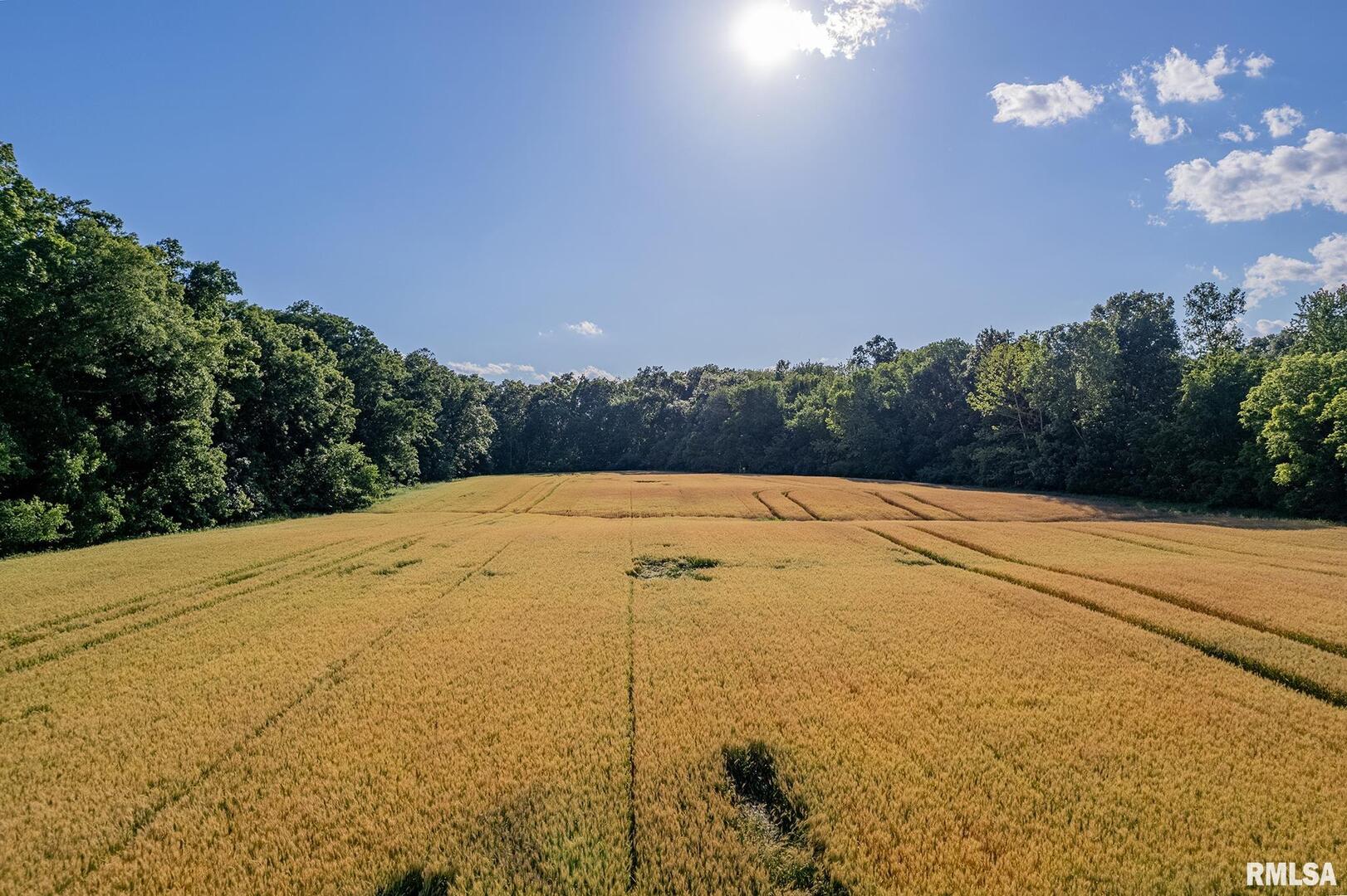 0 1325 North County Road Cisne, IL 62823 - Photo 11 of 28 a view of a yard