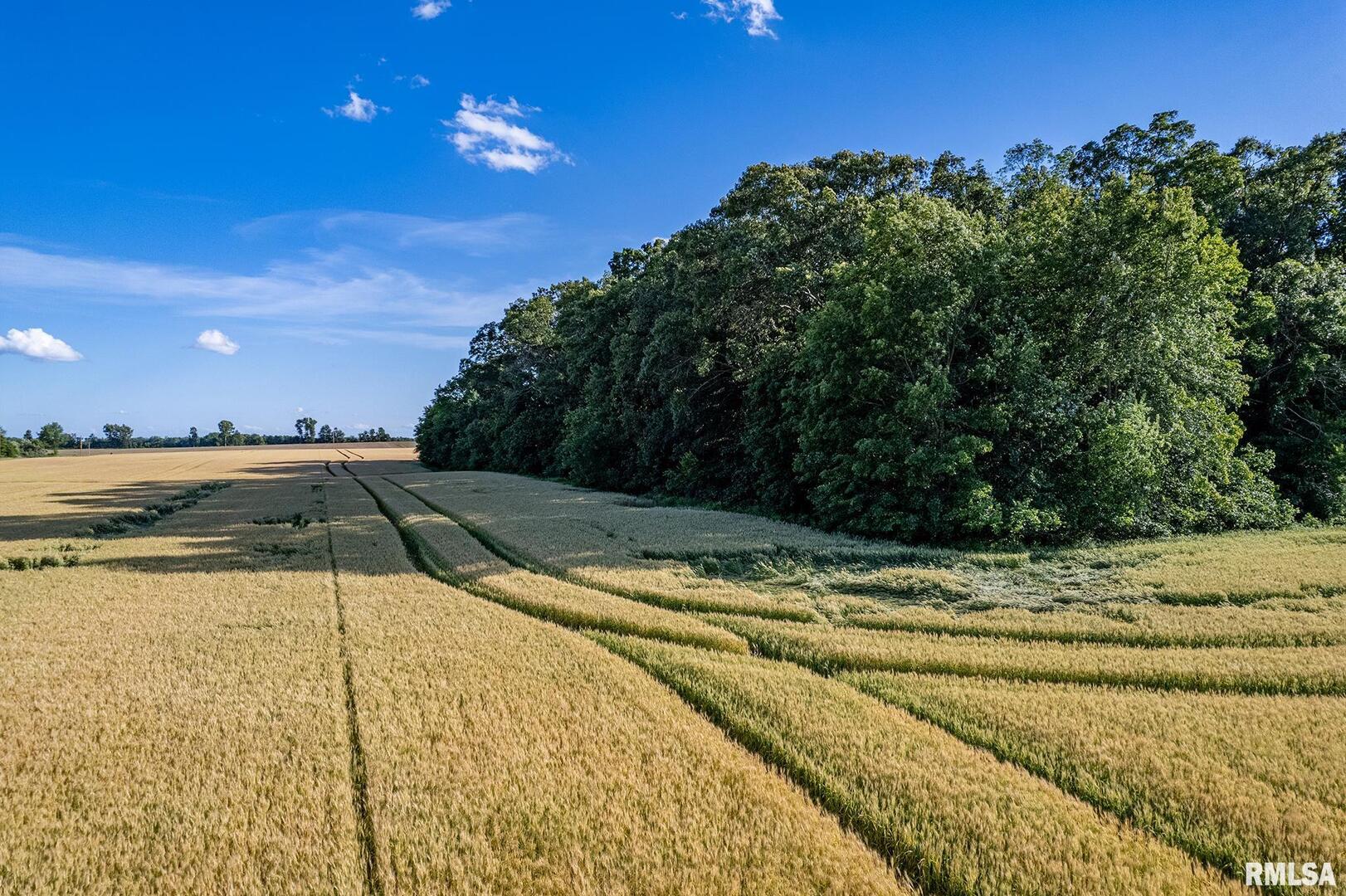 0 1325 North County Road Cisne, IL 62823 - Photo 12 of 28 a view of a backyard of the house
