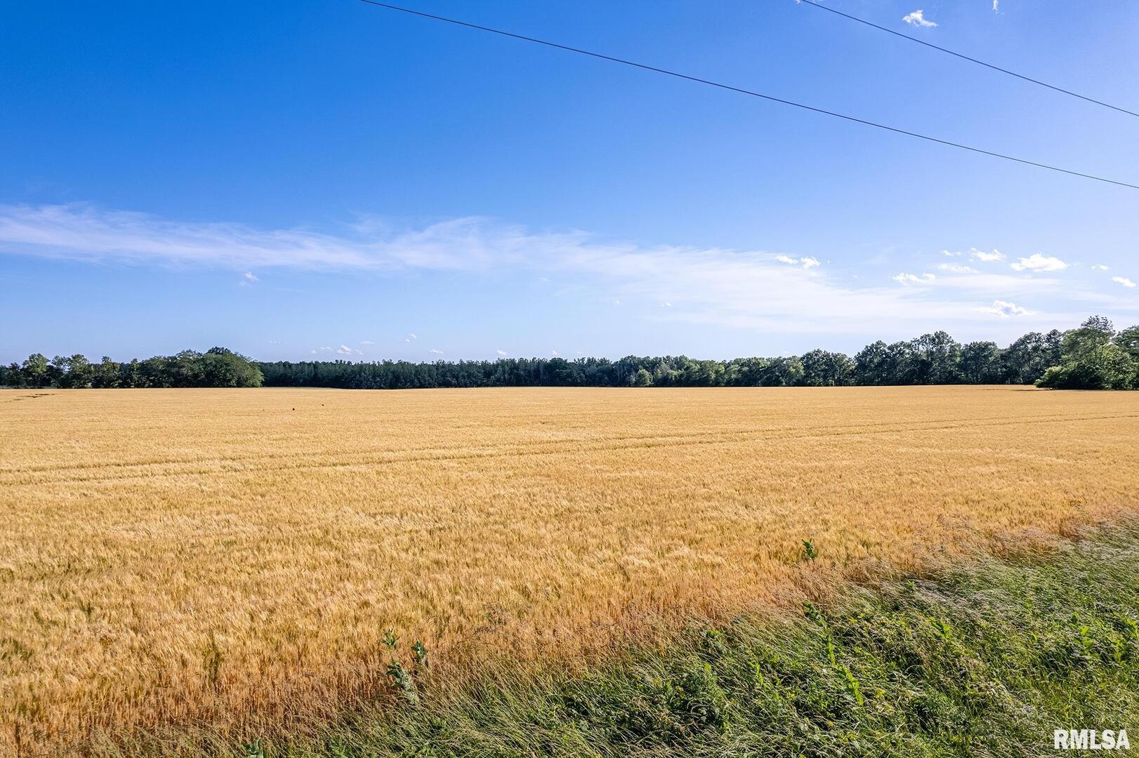 0 1325 North County Road Cisne, IL 62823 - Photo 13 of 28 a view of an ocean and beach