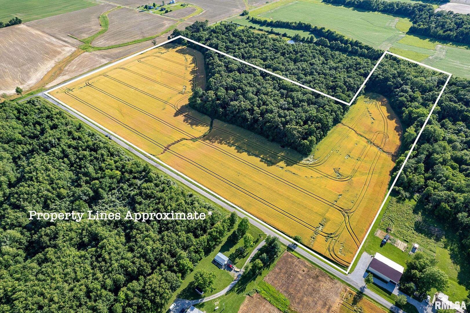 0 1325 North County Road Cisne, IL 62823 - Photo 2 of 28