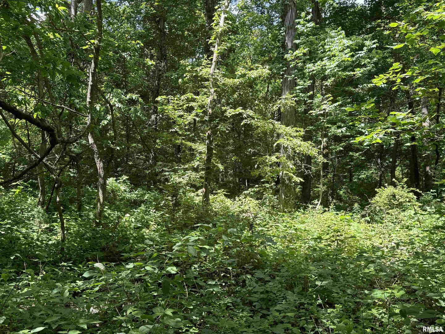 0 1325 North County Road Cisne, IL 62823 - Photo 21 of 28