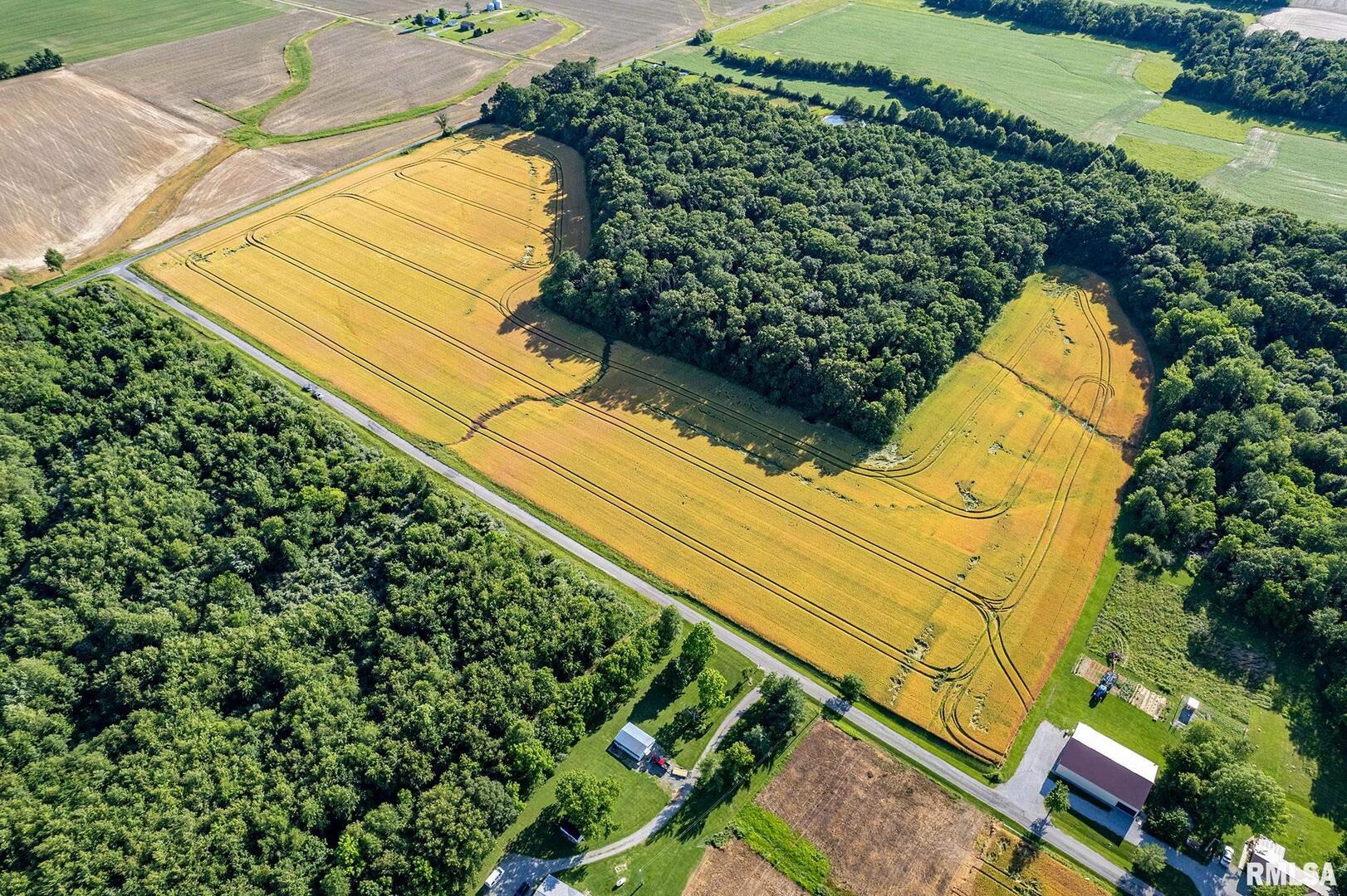 0 1325 North County Road Cisne, IL 62823 - Photo 3 of 28