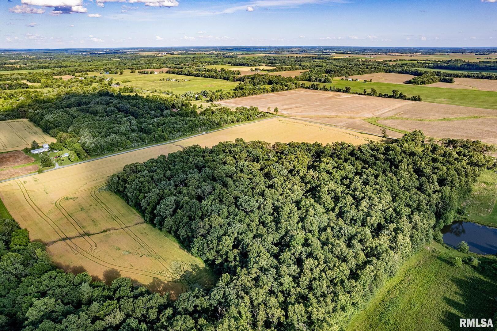 0 1325 North County Road Cisne, IL 62823 - Photo 9 of 28 a view of an ocean and city