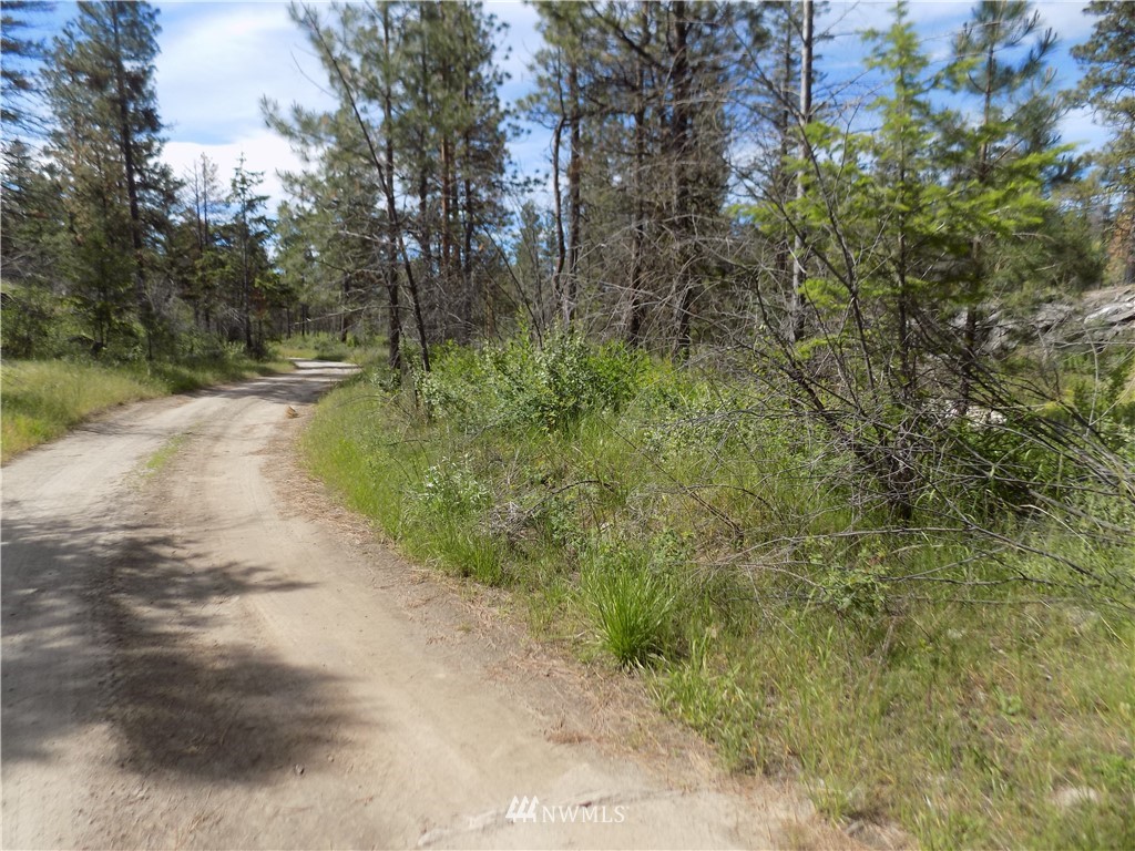 528 J H Green Road Riverside, WA 98849 - Photo 2 of 22 Gallery Image 2