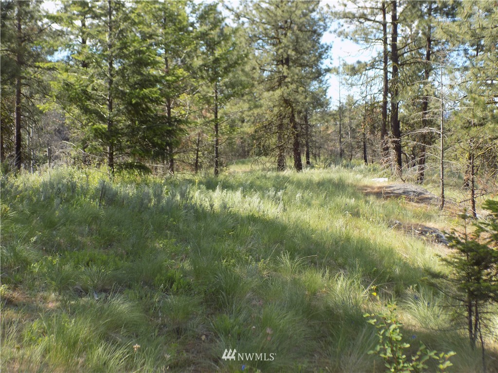 528 J H Green Road Riverside, WA 98849 - Photo 11 of 22 Gallery Image 11