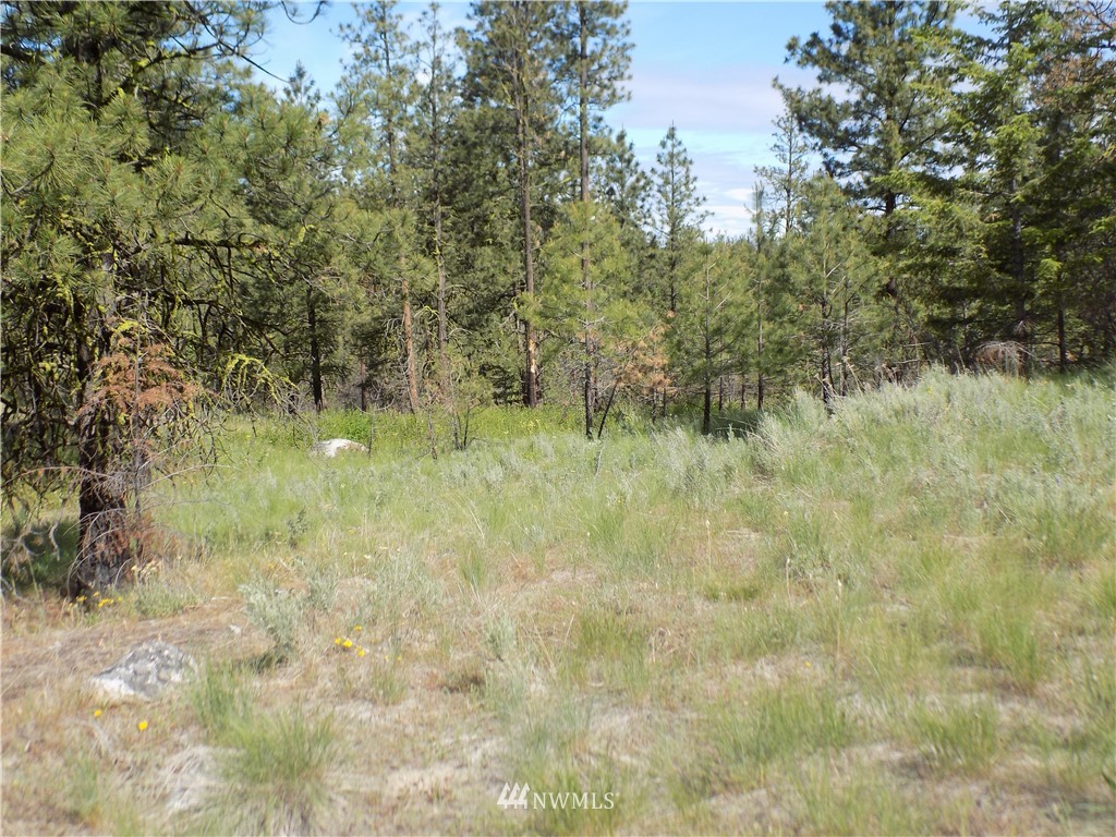 528 J H Green Road Riverside, WA 98849 - Photo 13 of 22 Gallery Image 13