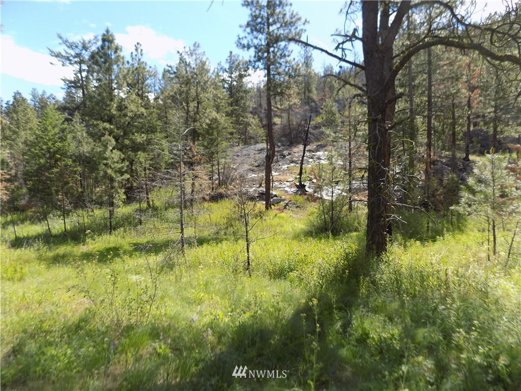 528 J H Green Road Riverside, WA 98849 - Photo 15 of 22 Gallery Image 15