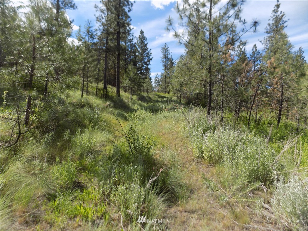528 J H Green Road Riverside, WA 98849 - Photo 16 of 22 Gallery Image 16