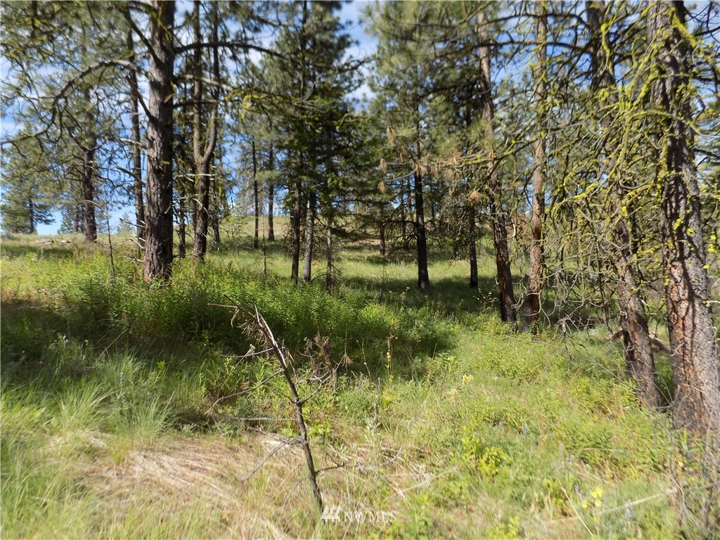 528 J H Green Road Riverside, WA 98849 - Photo 17 of 22 Gallery Image 17