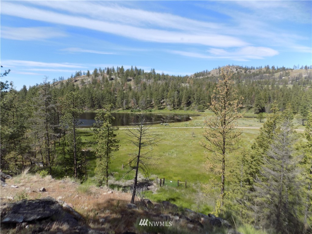528 J H Green Road Riverside, WA 98849 - Photo 19 of 22 Gallery Image 19