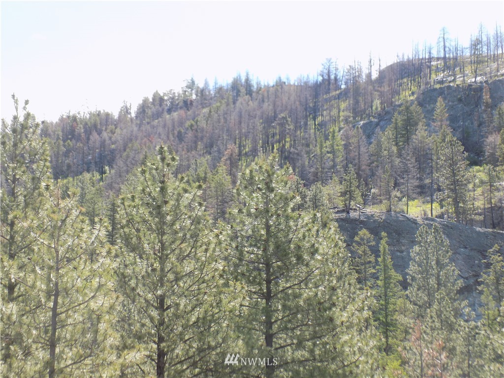 528 J H Green Road Riverside, WA 98849 - Photo 22 of 22 Gallery Image 22