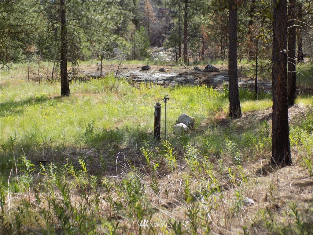 528 J H Green Road Riverside, WA 98849 - Photo 8 of 22 Gallery Image 8