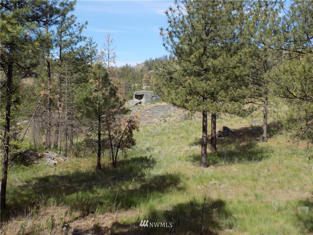 528 J H Green Road Riverside, WA 98849 - Photo 10 of 22 Gallery Image 10