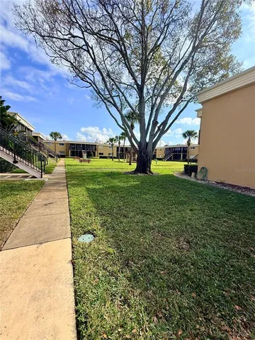 a view of a yard with a large tree