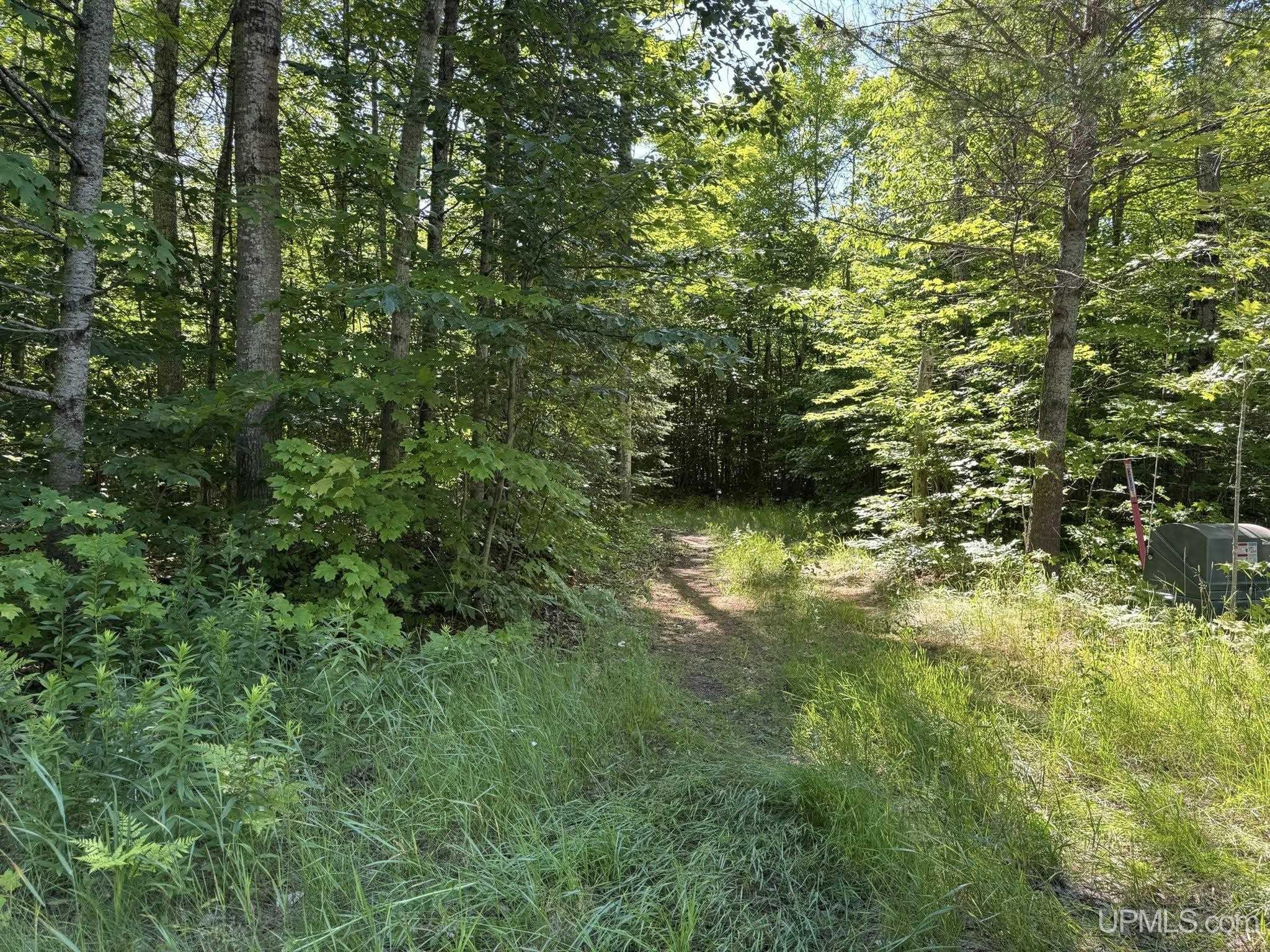 8713 Boot Lake Road Manistique, MI 49854 - Photo 8 of 12 Gallery Image 8