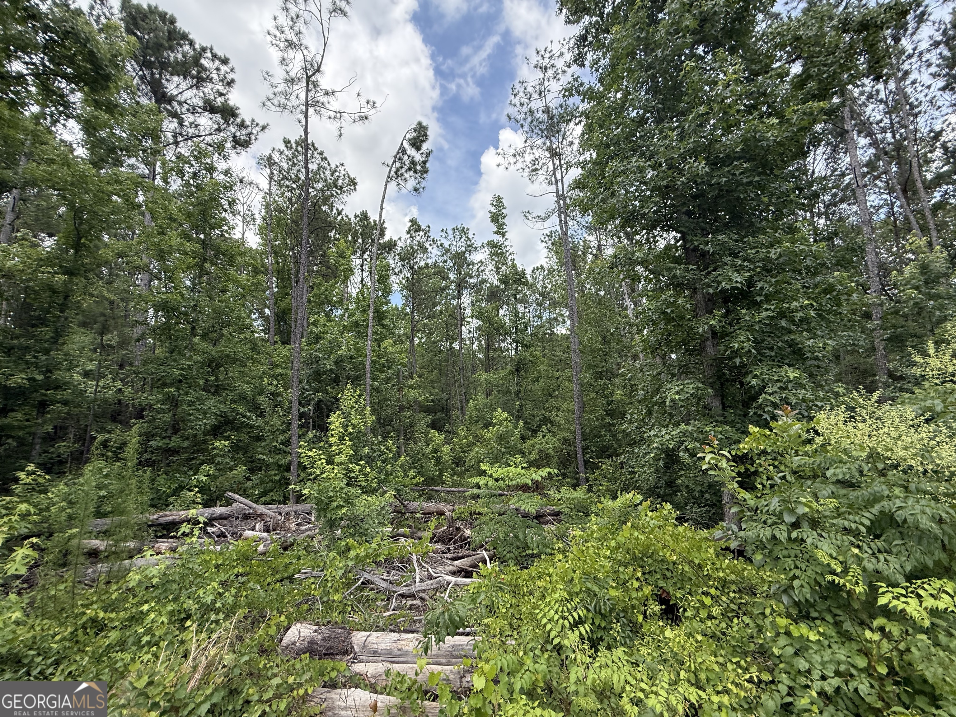 3879 East White Oak Road Appling, GA 30802 - Photo 26 of 26