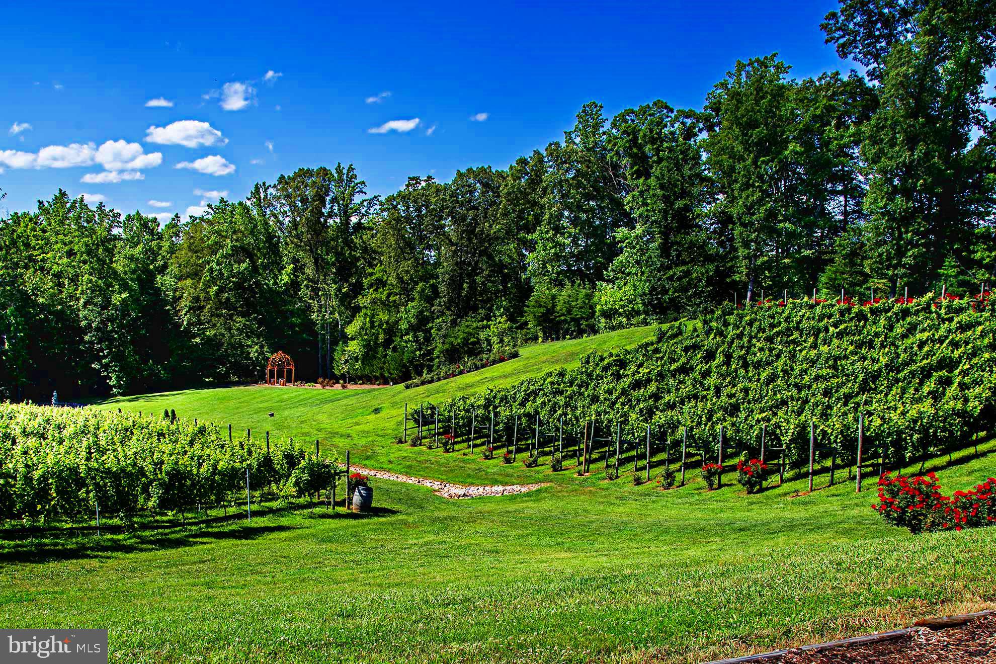 52 Brent Point Road Stafford, VA 22554 - Photo 21 of 22 Potomac Winery is a Great Bonus!