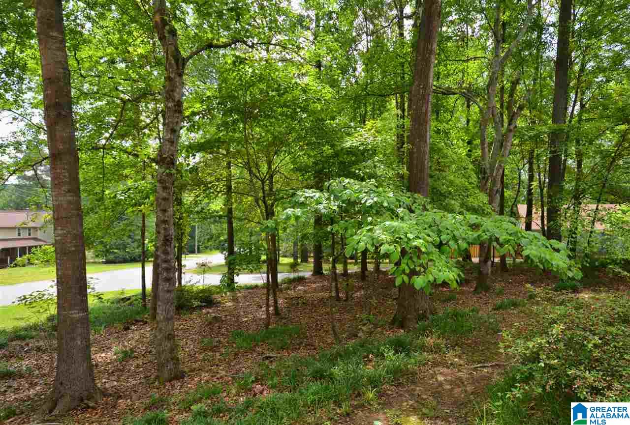 4512 Oxford Road Birmingham, AL 35242 - Photo 46 of 49