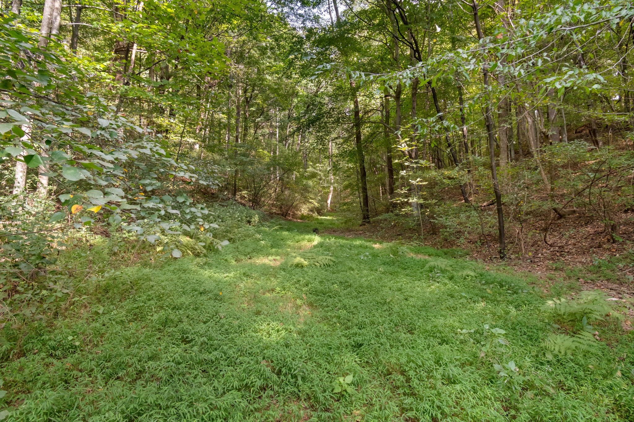 384 Big Spring Hollow Road Pulaski, TN 38478 - Photo 27 of 54 Gallery Image 27