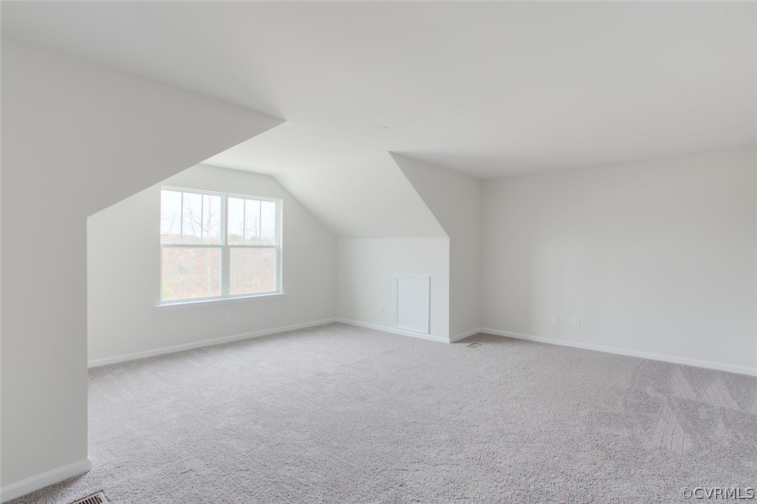 1418 Braisden Road Midlothian, VA 23114 - Photo 20 of 20