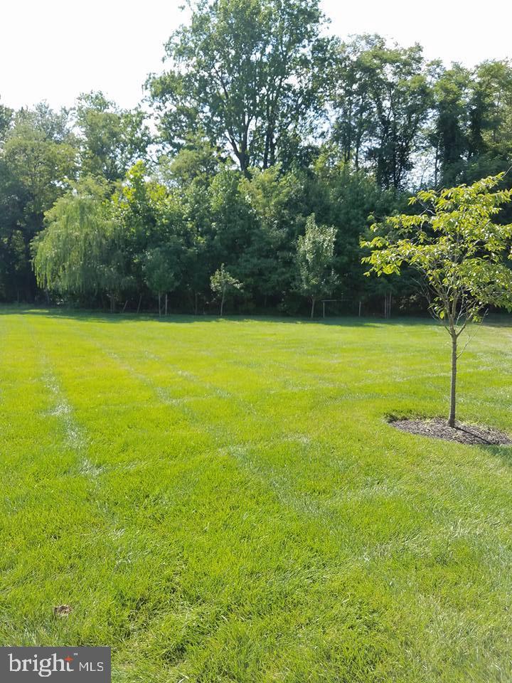 14108 Jones Bridge Road Upper Marlboro, MD 20774 - Photo 36 of 36 Lush green lawn with serene backdrop.