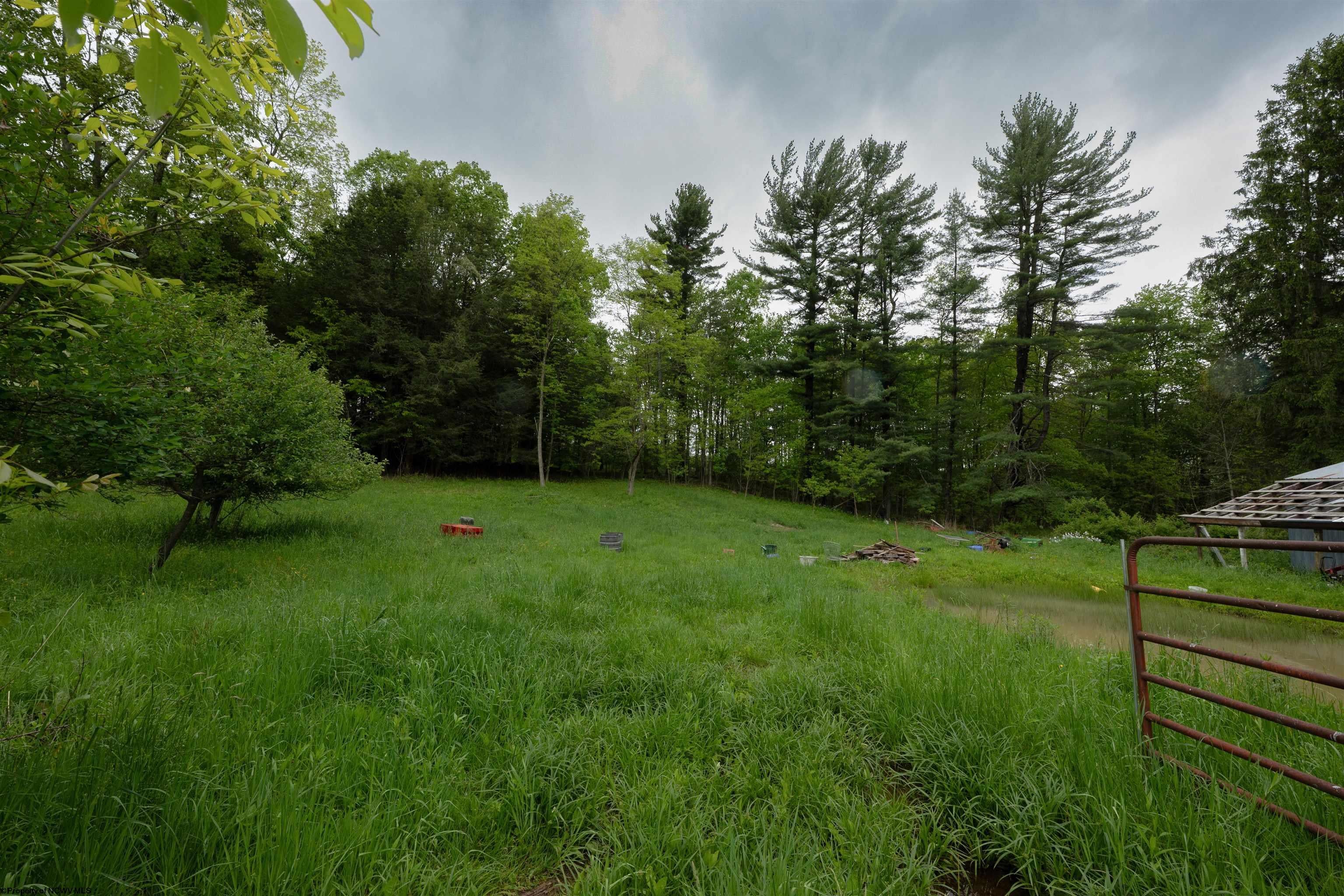 248 Casteel Road Terra Alta, WV 26764 - Photo 44 of 47 Gallery Image 44