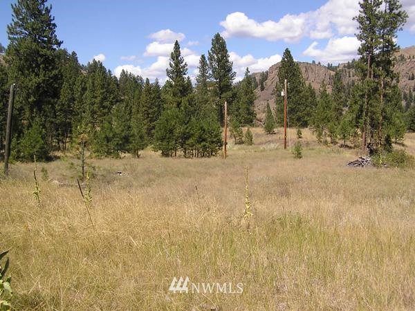 75-tbd 75-tbd Vesterheim Road Tonasket, WA 98855 - Photo 1 of 1 Gallery Image 1
