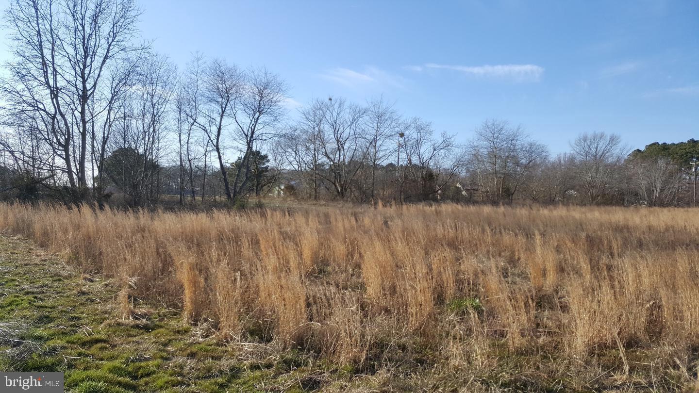 0 Md 354 Road Willards, MD 21874 - Photo 2 of 3 Rear View