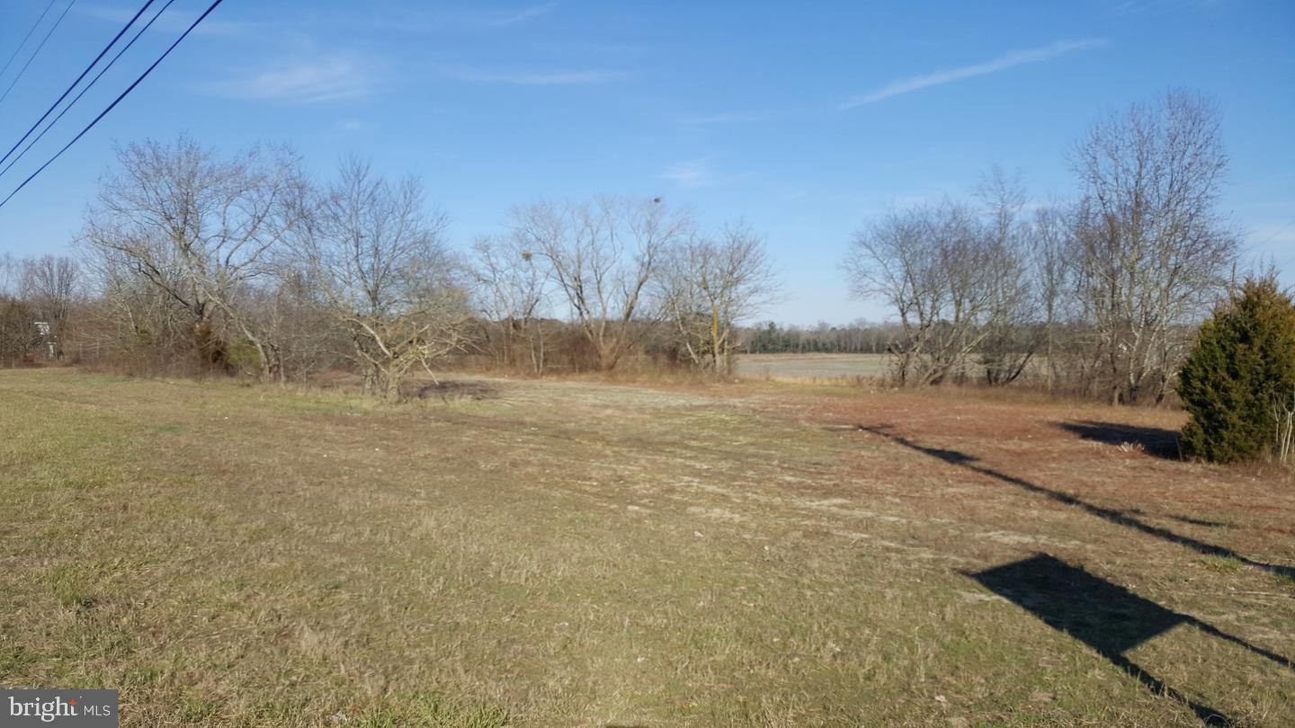 0 Md 354 Road Willards, MD 21874 - Photo 3 of 3 Southwest View
