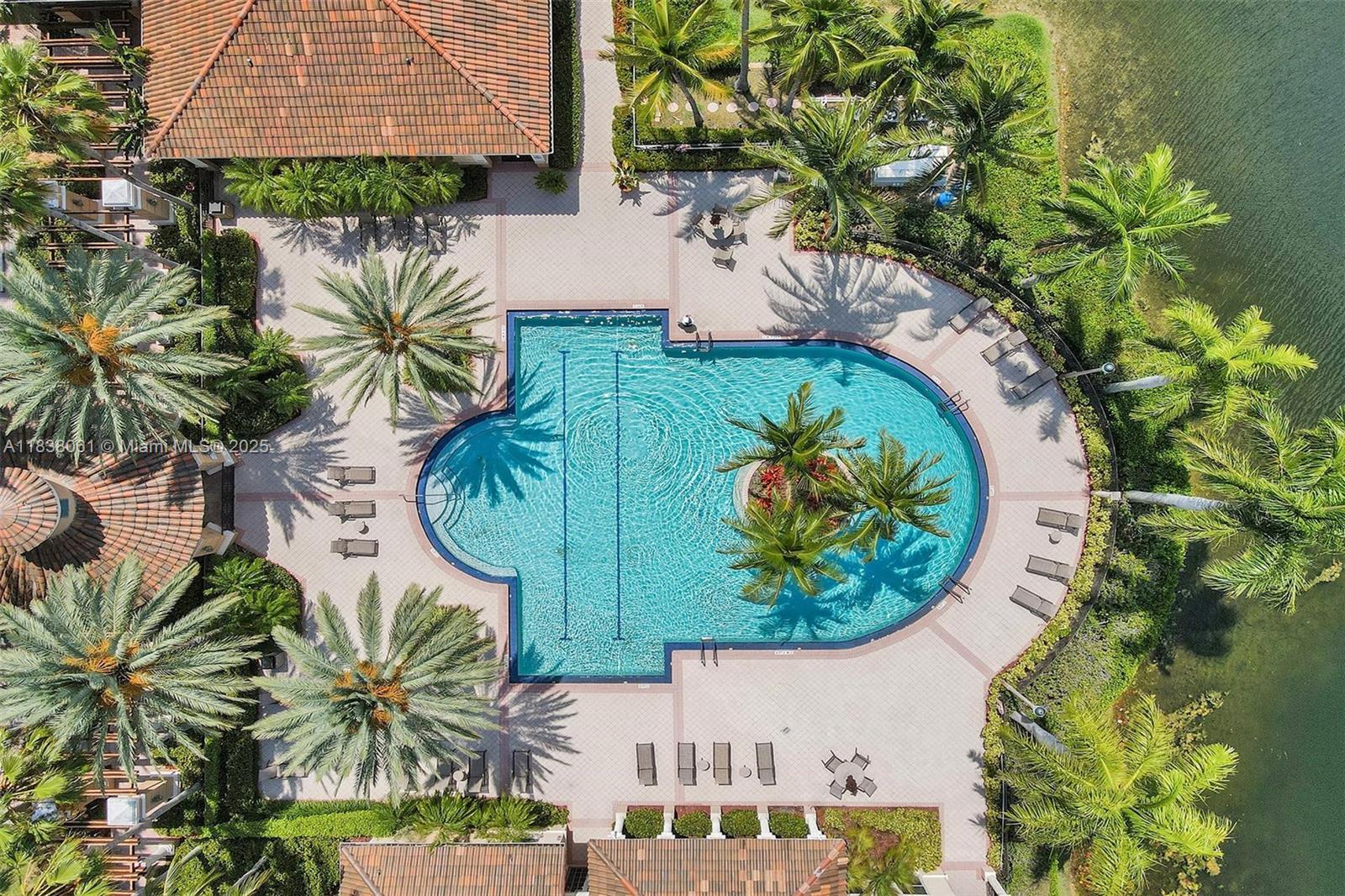 1571 Breakwater Terrace Hollywood, FL 33019 - Photo 37 of 42 an aerial view of a swimming pool with a yard and plants
