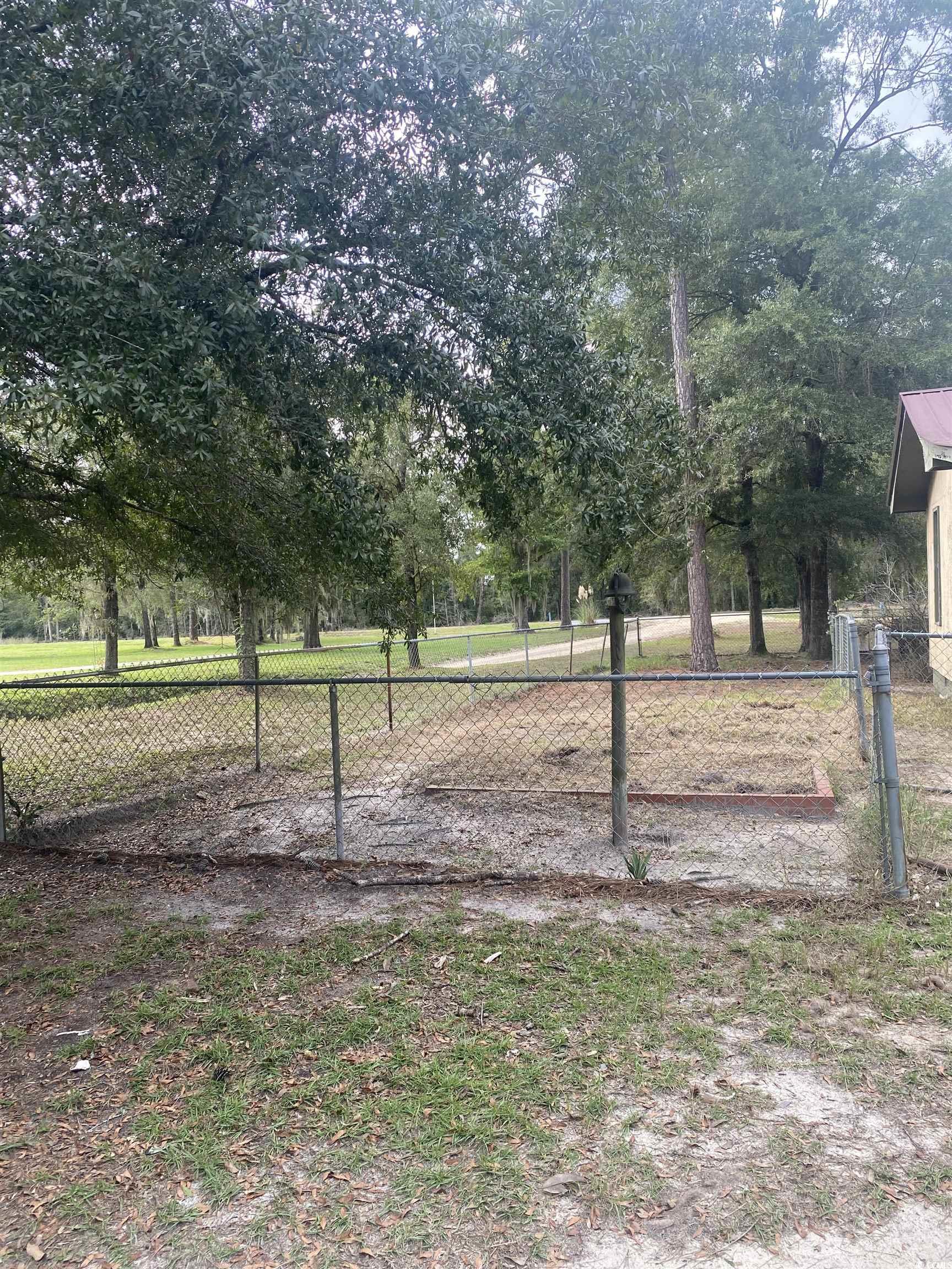 708 Grices Ferry Mullins, SC 29574 - Photo 10 of 13 View of yard