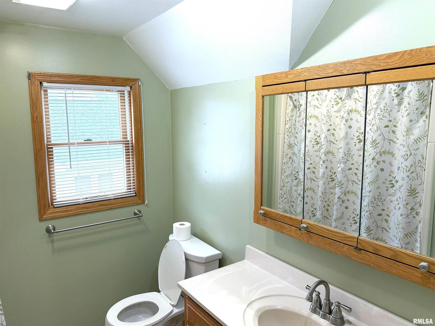 330 North Main Street Walcott, IA 52773 - Photo 29 of 39 a bathroom with a sink and a toilet