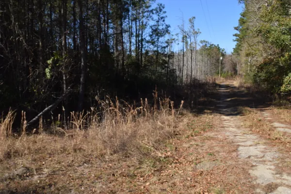$599,999 | 0 Black Tom Road, Summerville, SC 29486