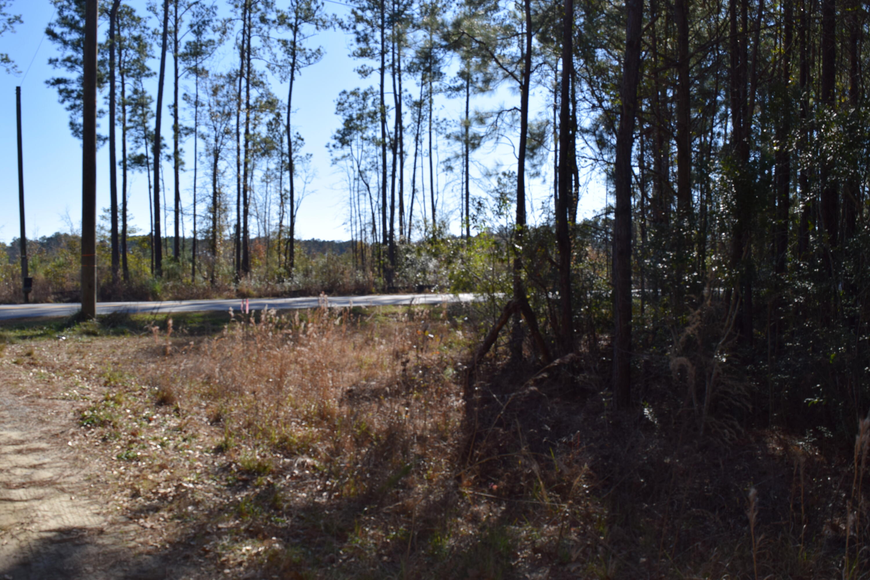 0 Black Tom Road Summerville, SC 29486 - Photo 3 of 6 DSC_0379