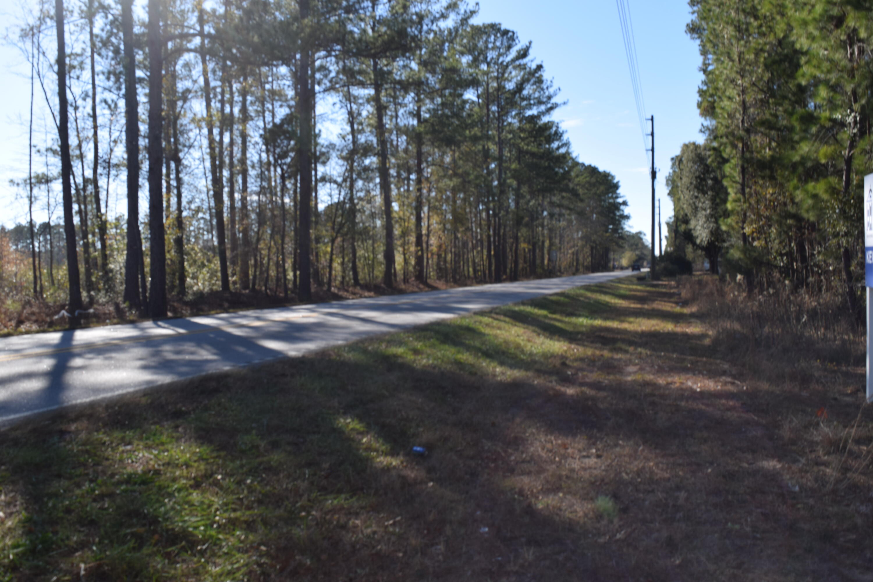 0 Black Tom Road Summerville, SC 29486 - Photo 6 of 6 DSC_0382