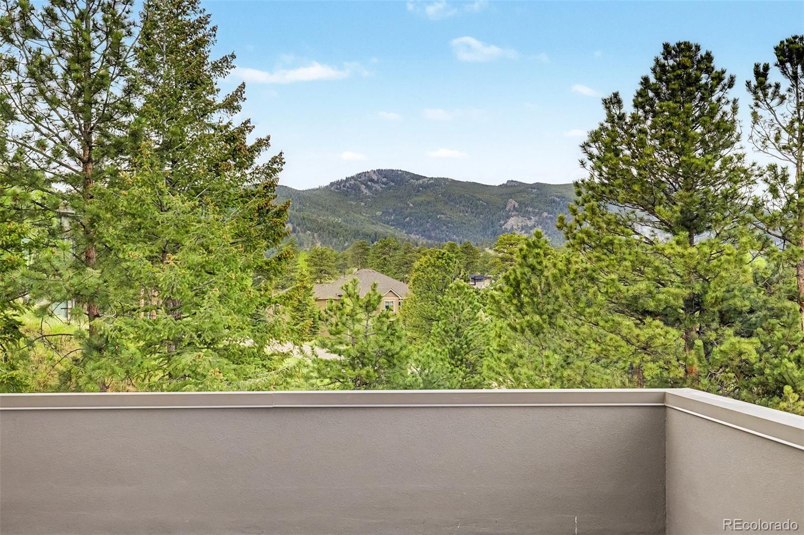 31270 John Wallace Road, Unit 305 Evergreen, CO 80439 - Photo 38 of 47