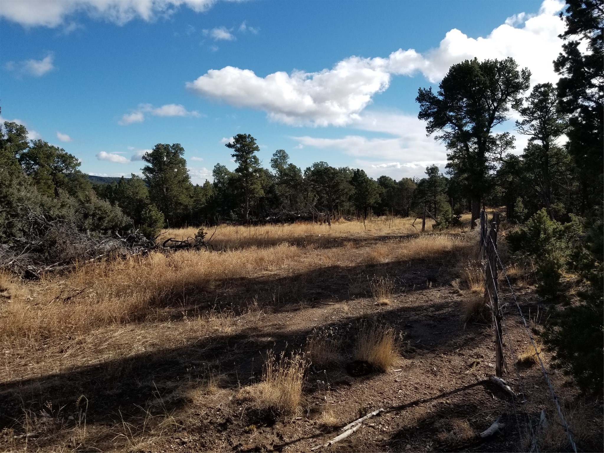 Tbd Tbd Pecos Pecos, NM 87552 - Photo 3 of 6