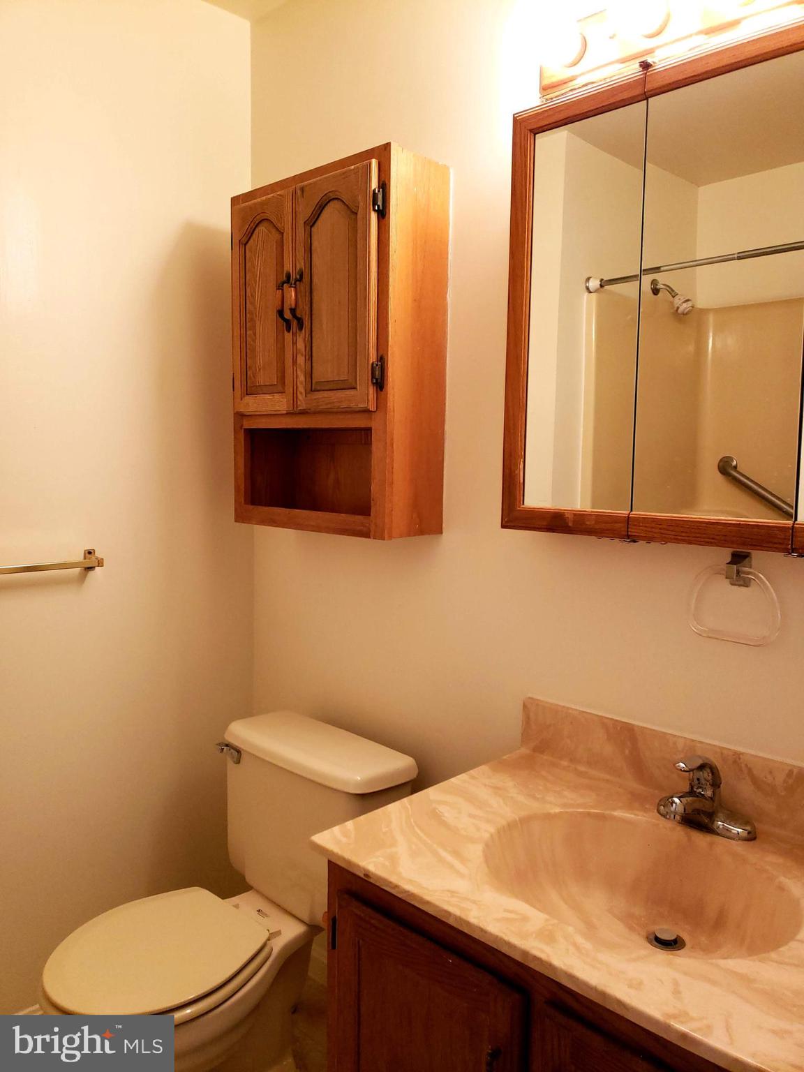 2022 Suffolk Road Finksburg, MD 21048 - Photo 15 of 19 a bathroom with a sink a toilet and mirror