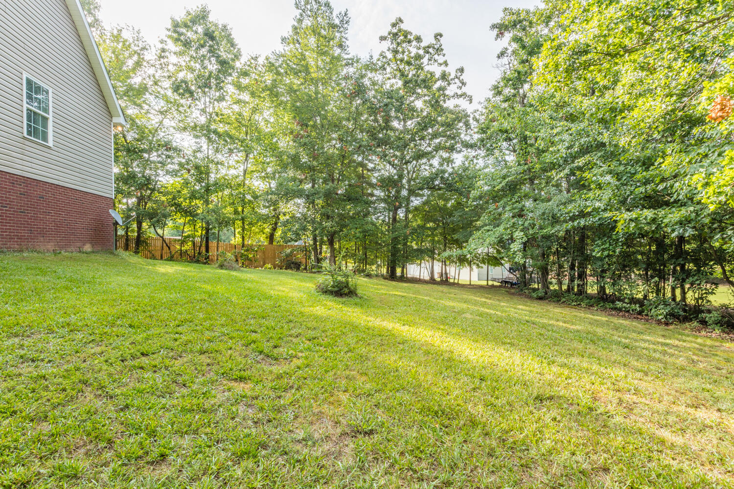 240 Cardinal Lane Dalton, GA 30721 - Photo 40 of 41 240 Cardinal Way HD-10